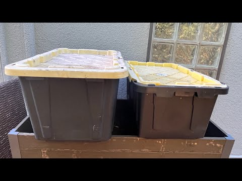 Splitting my worm bin