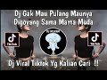 DJ NGGAK MAU PULANG MAUNYA DIGOYANG SAMA MAMA MUDA SLOW REMIX MENGKANE ONEONLEE DJ VIRAL TIKTOK