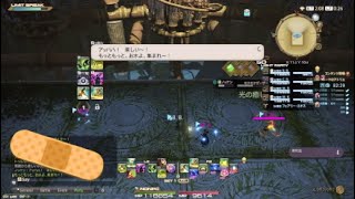 【FF14】不馴れヒラでエキルレ・見直し用【パッチ5.58学者視点】