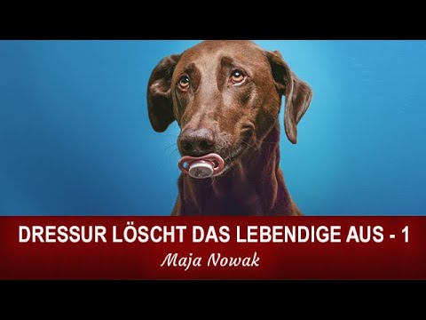 Part 1 - DRESSAGE EXTINGUISHES THE VITAL - The Beginning by Maja Nowak