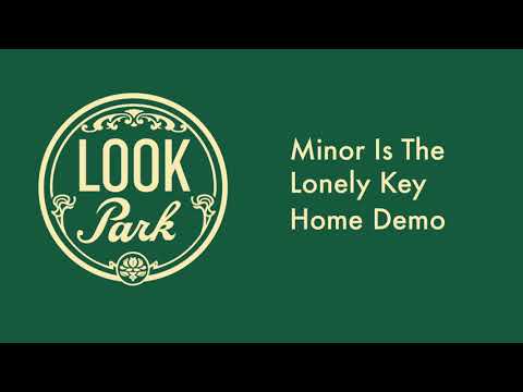 Thumbnail for Minor is the Lonely Key (Home Demo)