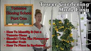 Tower Gardening Tomatoe Cloning School Part One #towergarden #tomatoes #garden #hydroponicgardening