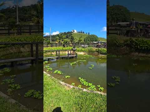 Vida na roça #minasgerais #fazenda