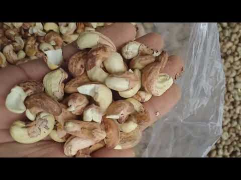 Borma Cashew nuts