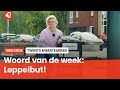 Het Twentse woord van de week: Leppelbut!