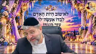 הרב אבישי לוי : עזר כנגדו