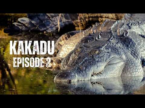 KAKADU | FULL EPISODE "Nature Calls Her Wildest Shots"