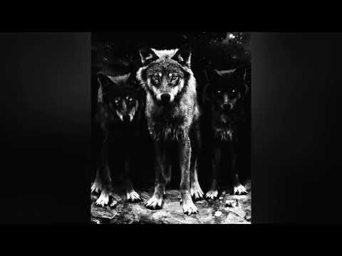 Mysterio - А я же Стая #mysterio #vhmusicparadise