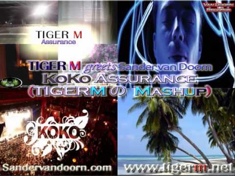 Sander van Doorn - Koko (TIGERM Mashup Mix)