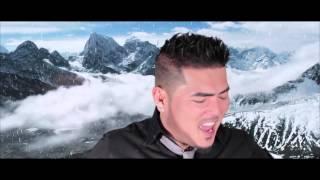 NVP Cover: &quot;Let It Go&quot;