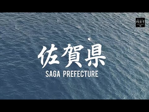 Introducing Saga Gyu