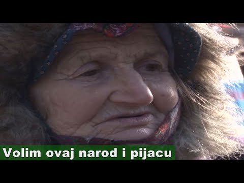 Čajeve berem u Kožlju