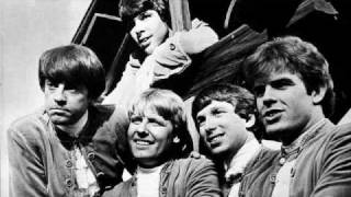 Paul Revere & The Raiders- There She Goes