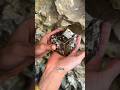 Digging Up A Big Pyrite Crystal In Spain