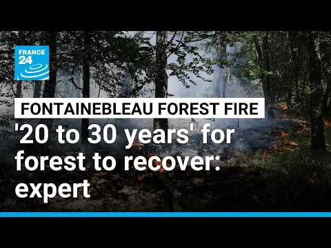 'We will never eliminate the risk of fire completely', expert says as wildfire rages south of Paris