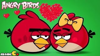 Angry Birds Seek Wife Walkthrough