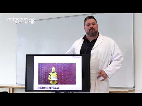 Videopräsentation Vetucation Award 2018