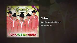 Tu Eres - Los Tucanes De Tijuana [Audio Oficial]