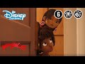MIRACULOUS WORLD | ⭐ WELKOM IN NEW YORK ? New York: The United Heroes | Disney Channel NL
