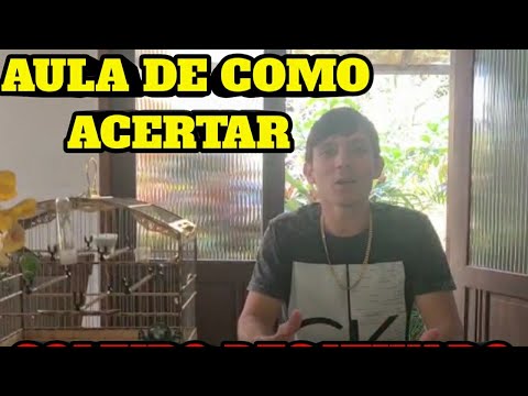 HOW TO GET A DISABLED COLLAR? COME FIND OUT HOW! PAPACAPIM TOURNAMENT 🏆