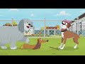 Pound Puppies Niblet Was Post To Catch The Sticks