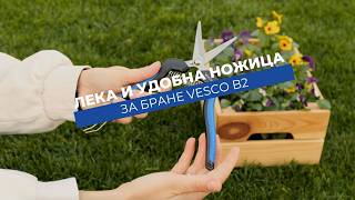Ножица Vesco B2 - дълги и тънки остриета за бране на плодове и цветя