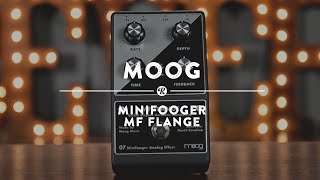 Moog Minifooger MF Flange | Reverb Demo Video