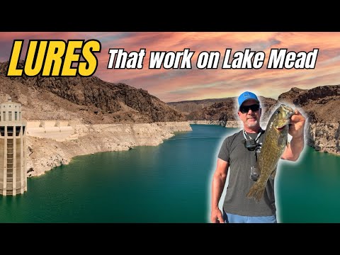 These LURES Work!