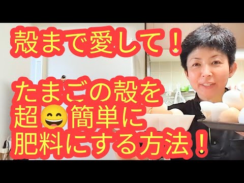 蘭の卵の殻: 最適な開花のためにこの天然肥料について知っておくべきことすべて  庭園