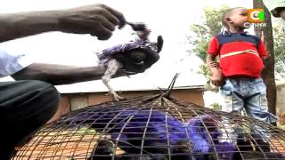 Truthmeter 20th Sept 2013