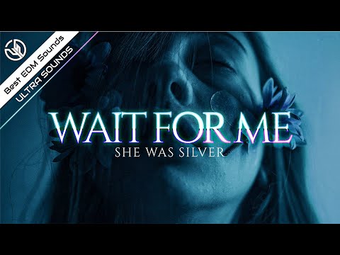 She Was Silver - Wait For Me