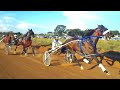 1.uriel.1.54.18.2.m.city.1.54.52.3.epico.4.salas.5.l.gante.6.t.gold.7.enrico.