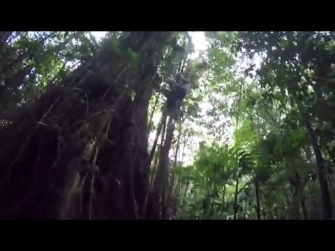 Basse terre, Guadeloupe 360°