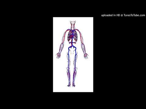 (free) novagang x david shawty x yungster jack type beat (prod. 444jet)