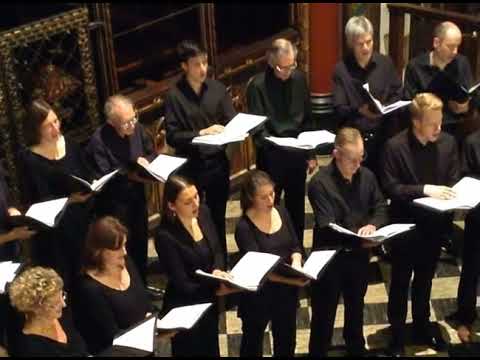 Howard Blake - Walking in the Air - choral version by Canticum