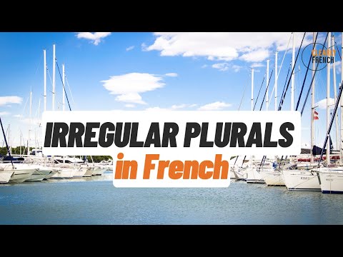 Irregular Plural Nouns and Adjectives in French - S or X?
