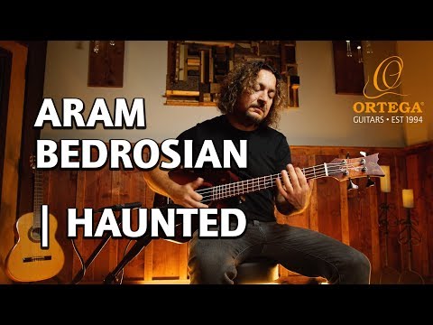 Пример звучания инструмента с установленными струнами Ortega ODW-4