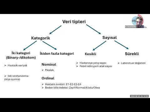 Analizlerimi Yapıyorum   20 agustos2024