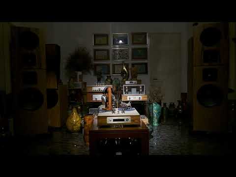 Eros 9 Ultra - Eagle 845 amp - DAC TMP9038 - Percussion Enssemble demo - Canon & Gigue in D Major