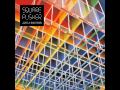 Squarepusher - Delta-V