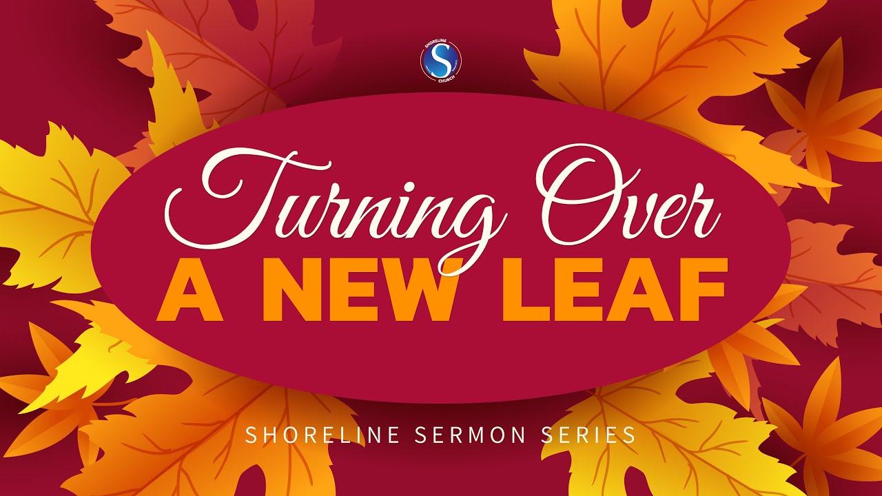 Where You Are, Is Not Who You Are