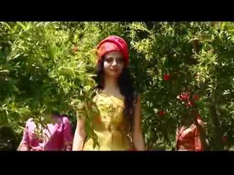 Abgül Mirzəliyev — Nar Ağacı, Nar Çiçəyi