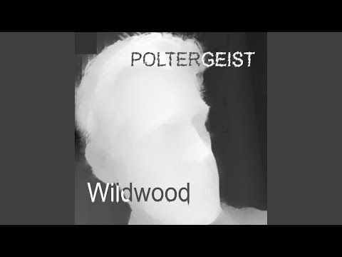 Poltergeist - Wildwood