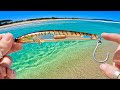 Beach Fishing Australia For Food