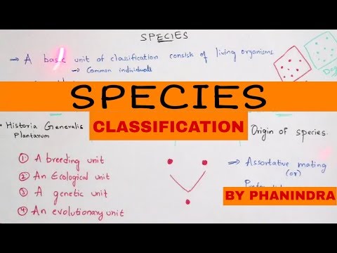 Inter 2nd year SYNAPTIC TRANSMISSION ZOOLOGY