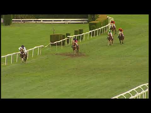 Herbstgalopprennen Oktoberfest: 3a corsa Haflinger/Haflinger Rennen 09.10.2022