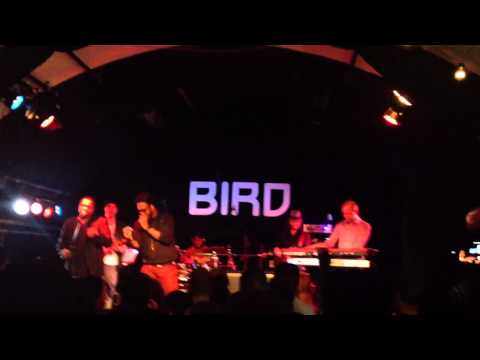 Thumbnail for Dwele hold on at Bird Rotterdam by Dwele