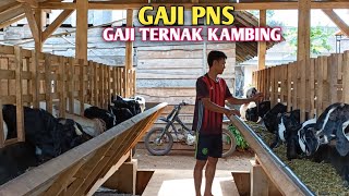 Download lagu Expres‼️Ternak Kambing Baru 9 Bulan Sudah Bisa Menikmati Hasil mp3 Download lagu Expres‼️Ternak Kambing Baru 9 Bulan Sudah Bisa Menikmati Hasil mp3