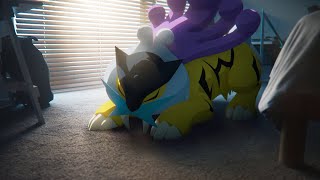 Pokémon Sleep | Raikou arriva a marzo 2024! ⚡