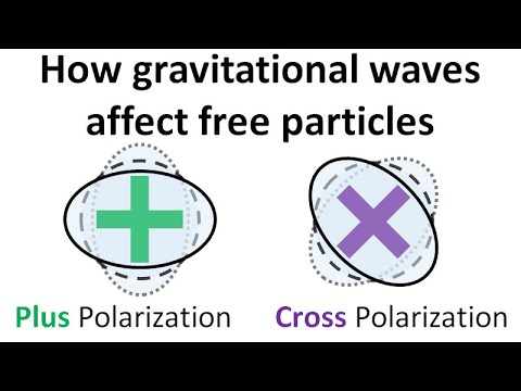 Relativity 109e: Gravitational Waves - How Gravitational Wave Affect Free Particles